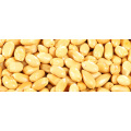 Chinese Peanut Roasted Peanut High Quality